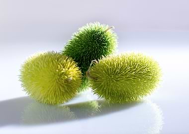 green gourds