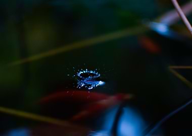 Waterdrop1
