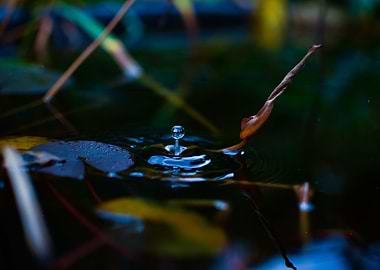 Waterdrop4