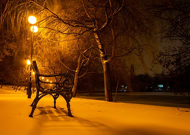 Quiet night in the parc