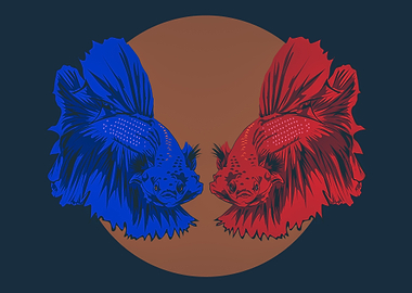 Betta Fish PH