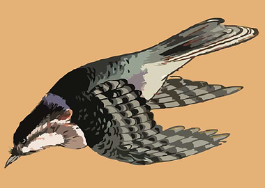 cute drawing of a bird