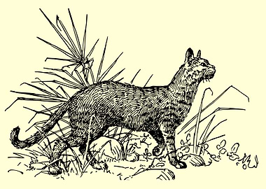 cute and funny cat art