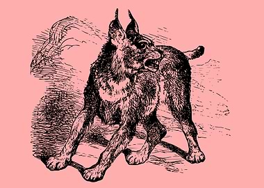 dog portrait drawing