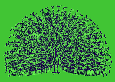 cute drawing of a bird