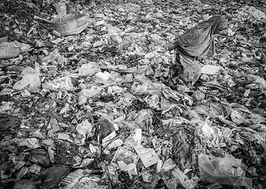 Garbage yard in Bangladesh