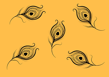 feather of a peacock