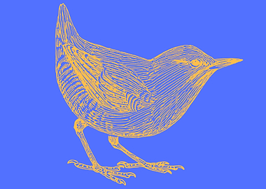 cute drawing of a bird