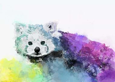 Red Panda