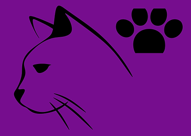 cute and funny cat art