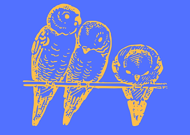 cute drawing of a bird