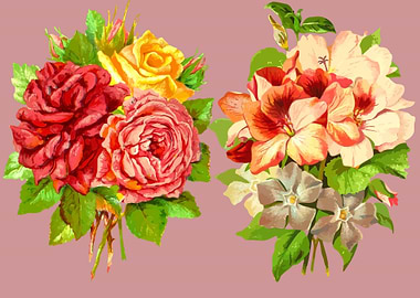 beautiful flower art