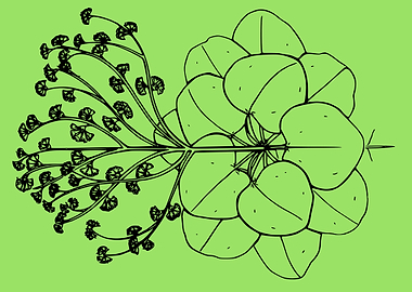 beautiful flower art