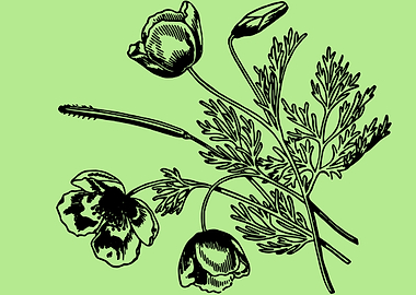 beautiful flower art