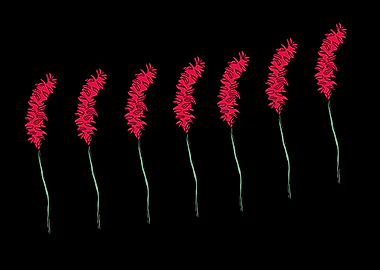 beautiful flower art