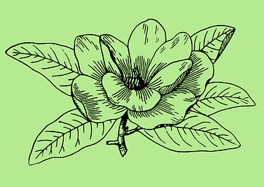 beautiful flower art