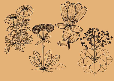 beautiful flower art