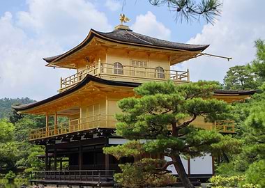 Kinkaku ji