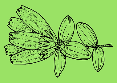 beautiful flower art