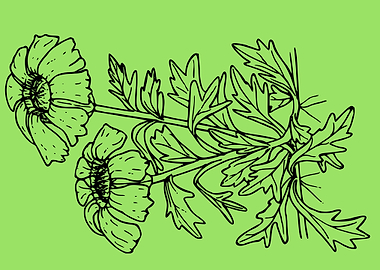 beautiful flower art