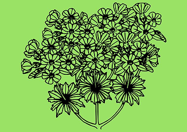 beautiful flower art