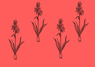 beautiful flower art