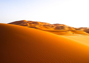 Sahara dunes