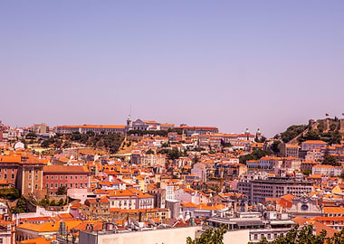 Pink Lisbon
