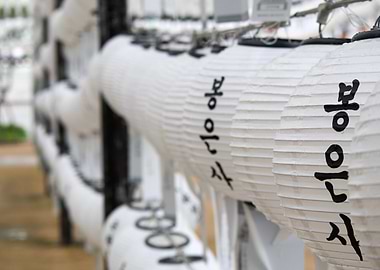 White lanterns Seonbuldang