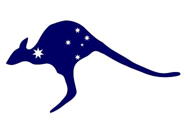 Kangaroo With Flag Stars