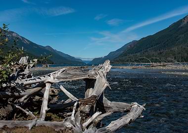 Where I Used to Drink