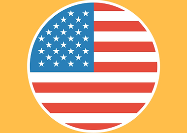 united nations flag art