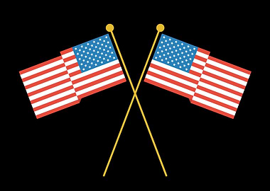 united nations flag art