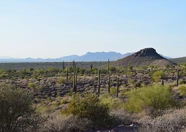 Hieroglyphic Trail Mnt 02