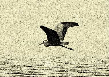 Gray heron over the lake