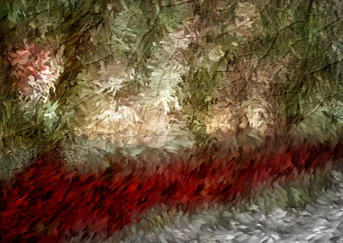 Winter Lake Impressions