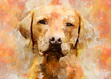 LABRADOR DOG PORTRAIT