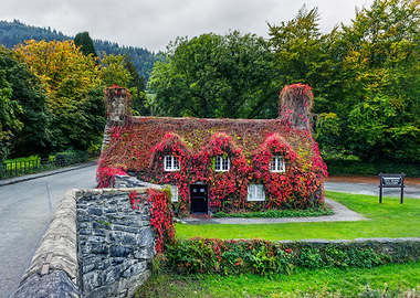 Autumn Tea Room Llanrwst