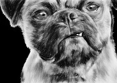 Smug Pug Digital Pencil