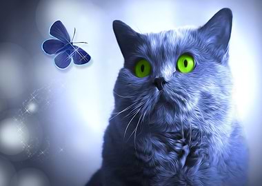 Blue and the Butterfly