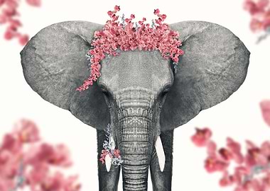 cool elphant girl poster