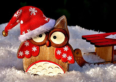 Christmas Owl With Hat