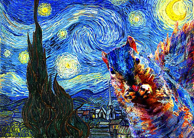Starry night photobomb