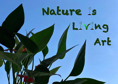 Nature is living art