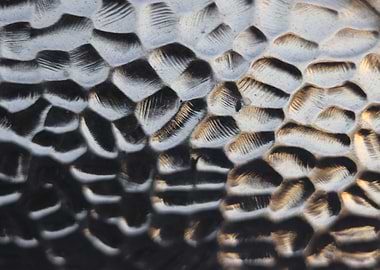 glass looking through