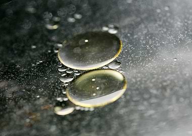 Oil bubbles on water macro