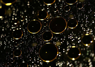 Oil bubbles on water macro