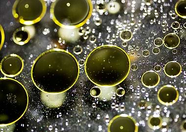 Oil bubbles on water macro