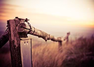 Natural Wooden Fence on Mo