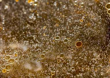 Oil bubbles on water macro